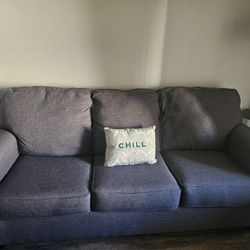 Sofa and Loveseat 