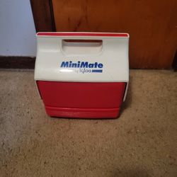Mini Igloo Cooler 