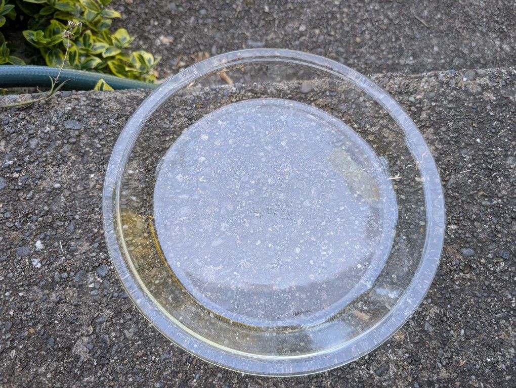 Pyrex® 9" Glass Pie Plate