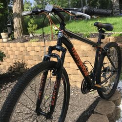Mountain Bike