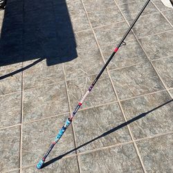 Favorite Spinning Rod