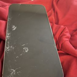 iPhone 12 Pro Max With TikTok 