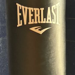 Everlast 70lb MMA punching Bag