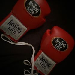 No Boxing No Life Gloves 