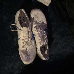 Dragon Flies Track Spikes 