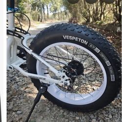 Vespeton 20"x4.0" Fat E-bike Tire 60TPI (tire only, not wheel and tire) 