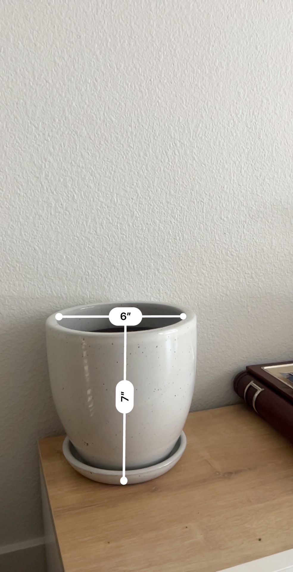 Small Plant Pot