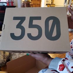 adidas yeezy boost 350 V2 mono cinder