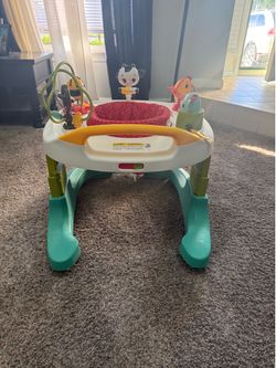 Baby Walker/Playset
