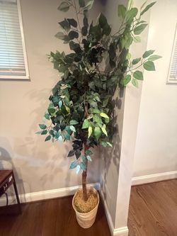 Large Artificial Ficus Tree with Basket