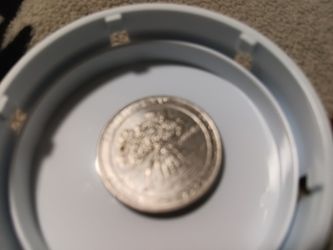 2020-W Salt River Bay quarter with the V75 privy mark