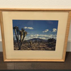 Framed Desert Art