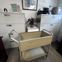 	2 Heavy-Duty Filing Cabinets & Rolling Utility Cart