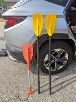 3 Paddles