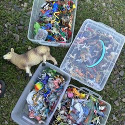 Collectables and cases with beads