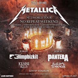Metallica Two Tickets For 2 Day