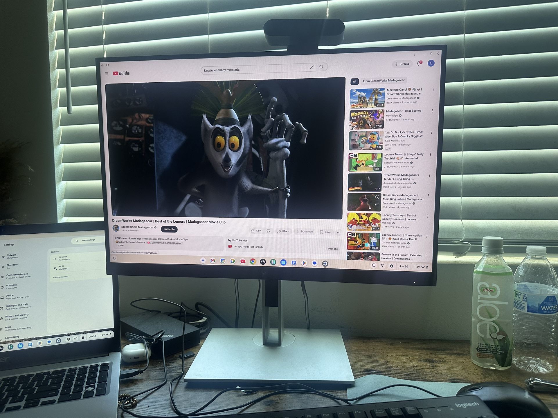 HP LCD Monitor - 24”