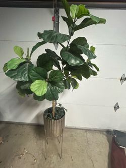 Faux fiddle leaf fig and planter