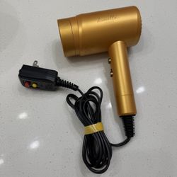 Danielle Creations Ironic Blow Dryer