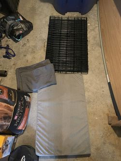 Large Folding Wire Dog Crate With Accessories
