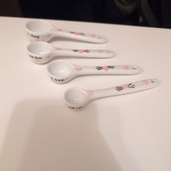 Measure Spoons