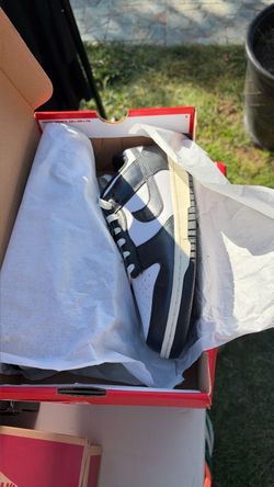 Nike dunks
