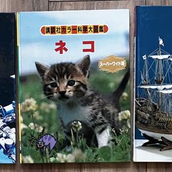 3 Japanese Non Fiction Picture Books 