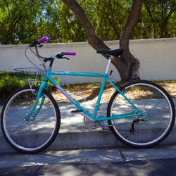 Nishiki Backroads Retro Mountain Bike