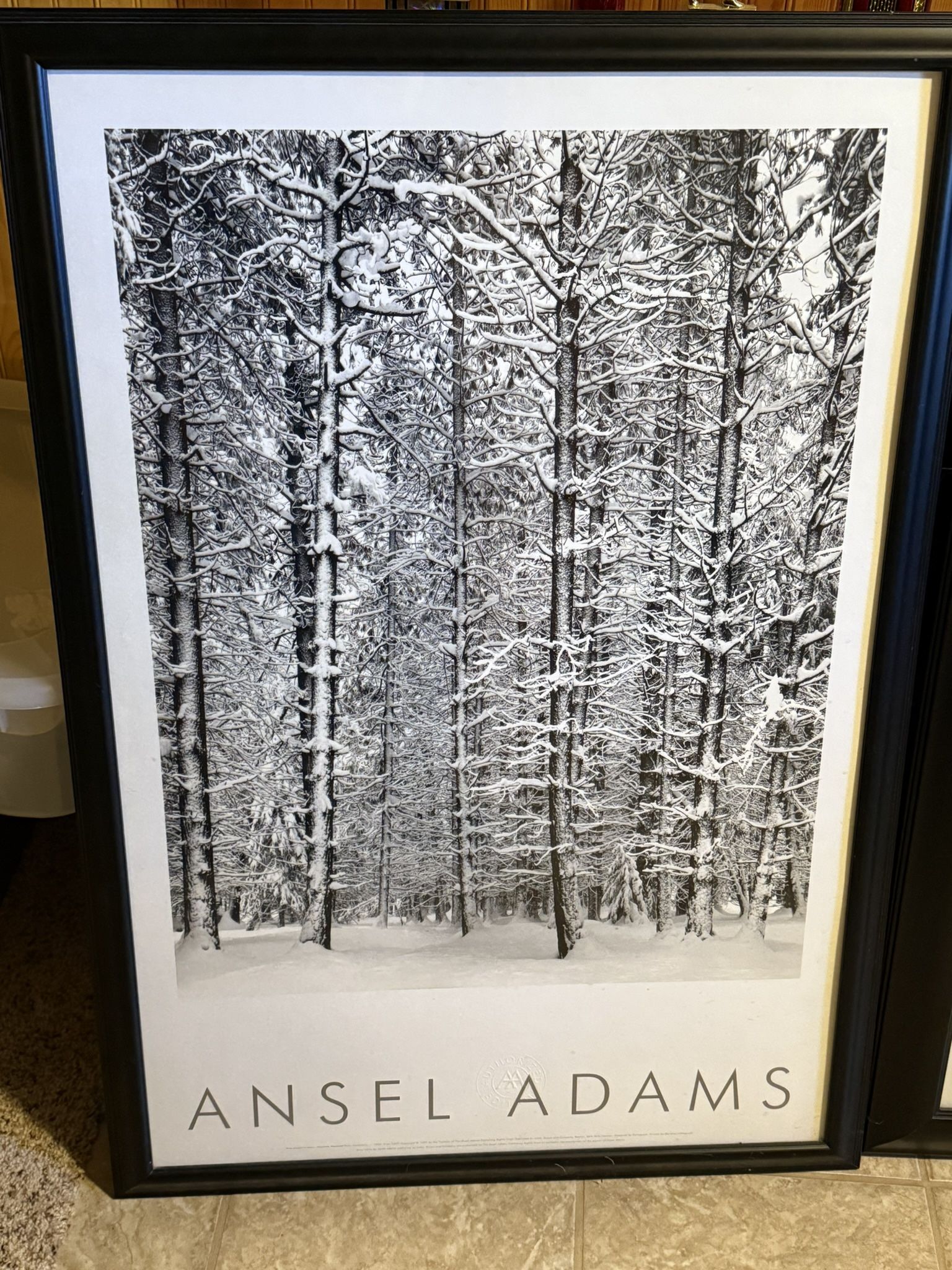Ansel Adams Pictures