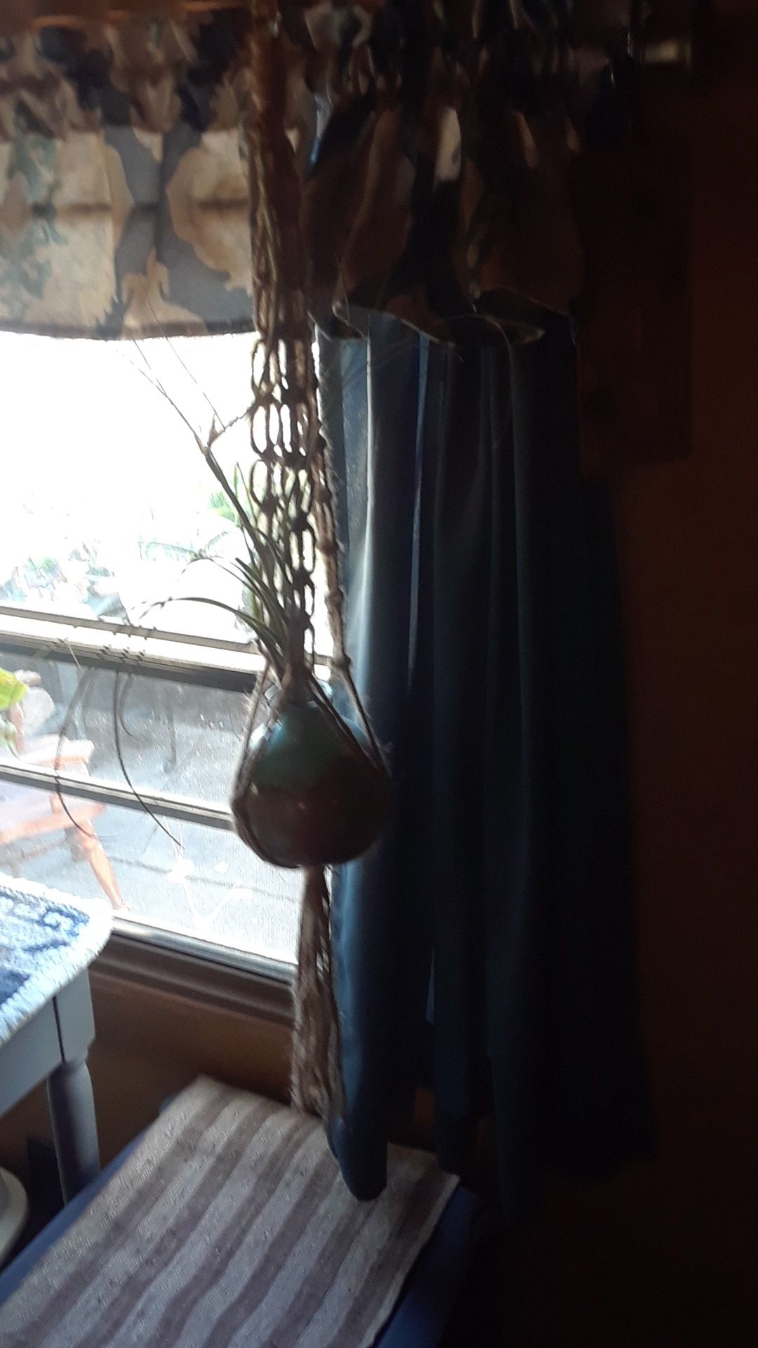 Handmade macrame hanger with air plant