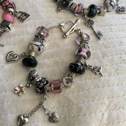 Pandora inspired European charm bracelet