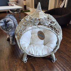 Cat bed