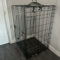 Large Kong Dog Crate 