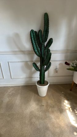 5ft Fake Cactus