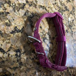 Frisco Outdoor Nylon Purple Reflective Padded Dog Collar