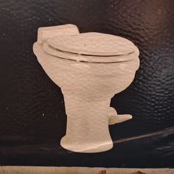Gravity Flush Toilet 