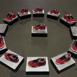 Jordan 4 Toro 