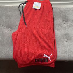 Puma Shorts