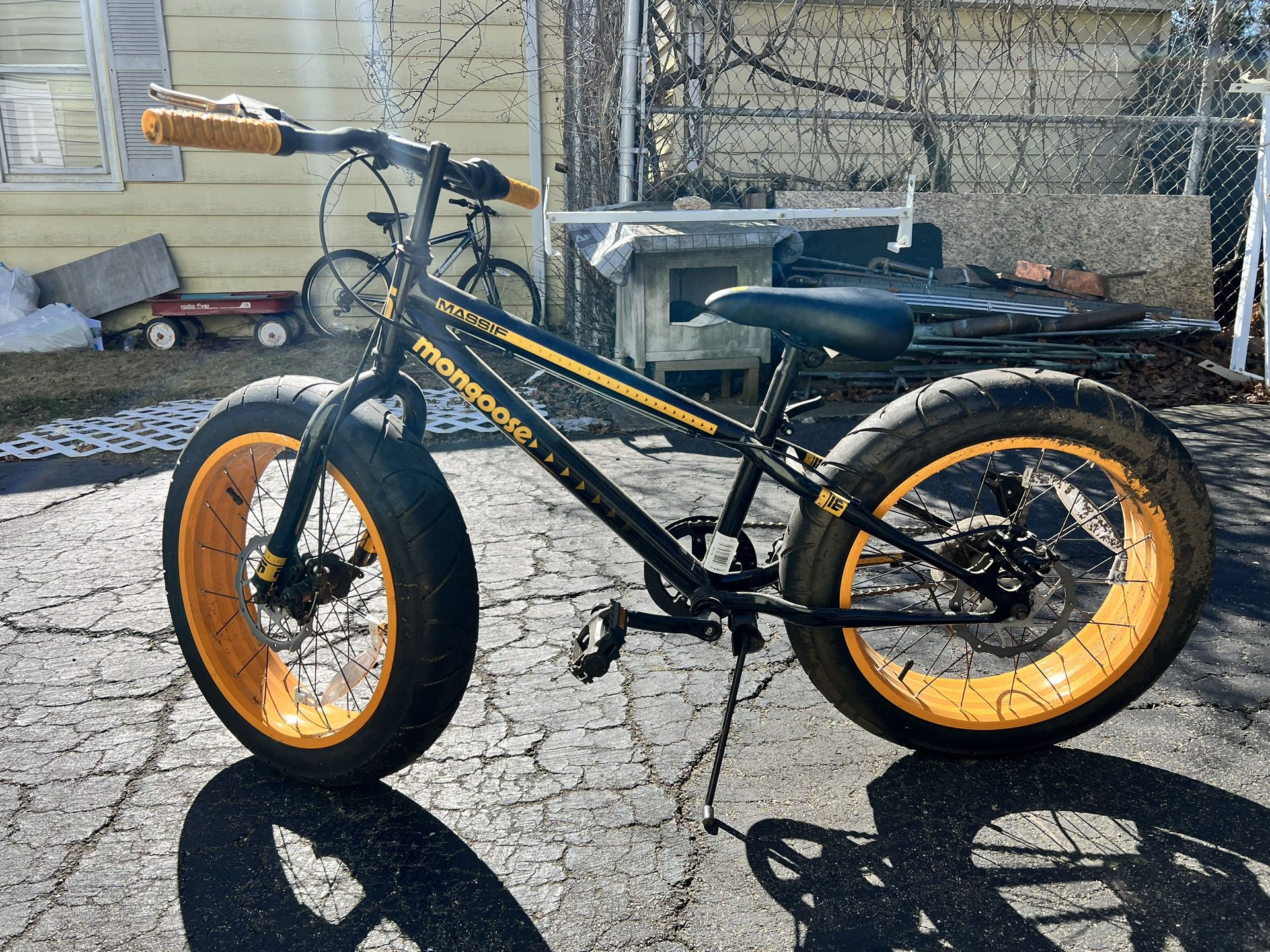 Massif Mongoose