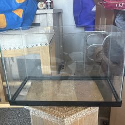 5 Gallon Edgeless Tank W/ Air Pump, New Water Siphon And More