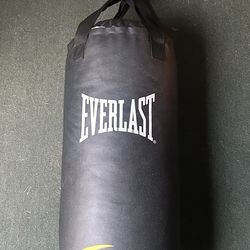 Everlast Punching Bag 