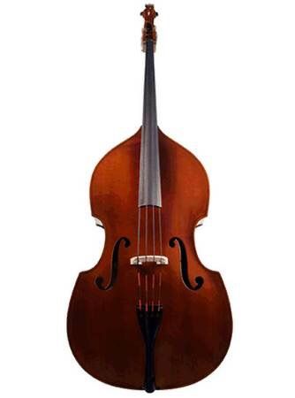Engelhardt EG1 Upright/Double Bass