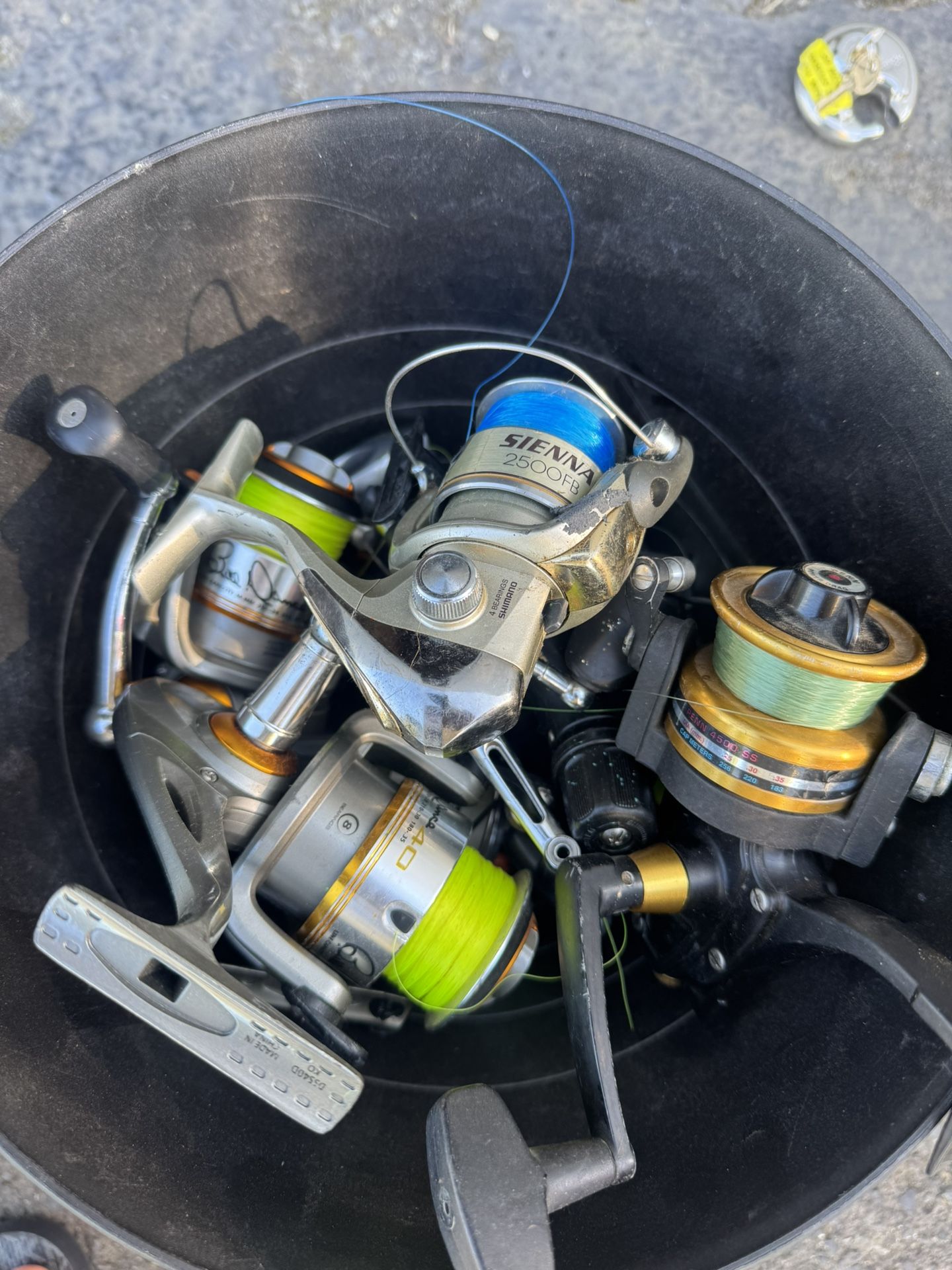 Fishing Real