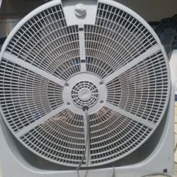 Big Fan
