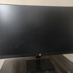 Two computer monitors