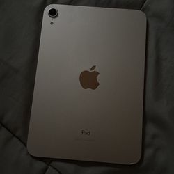 iPad mini 6 (rose gold)