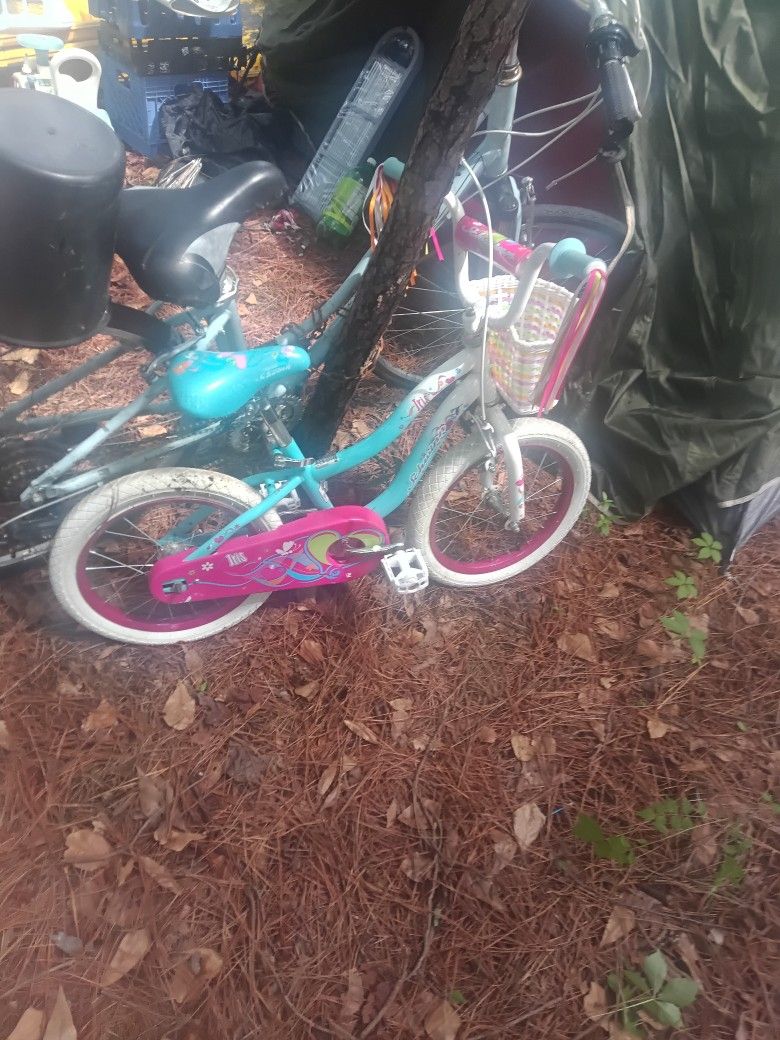 Little Girls Bike Never Been Rode