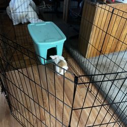 Playpen For Pets . Indoor And Outdoor 