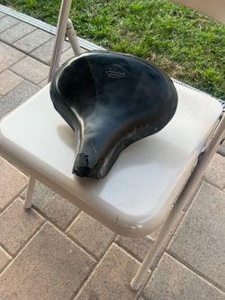 Schwinn approved saddle