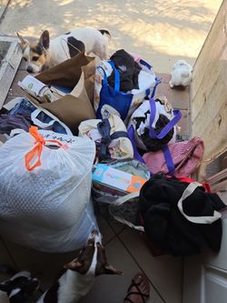 Clothes, bags, books, toys
